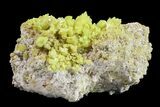 Yellow Sulfur Crystals on Matrix - Steamboat Springs, Nevada #154345-1